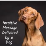 Intuitive Message