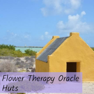 Flower Therapy Oracle Hut Message