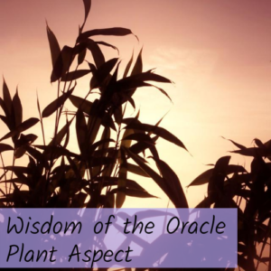 Wisdom of the Oracle Plant Message