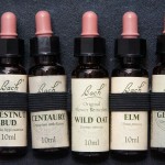Complementary therapies are more widely used.