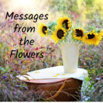 messages from the flowers