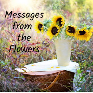 messages from the flowers