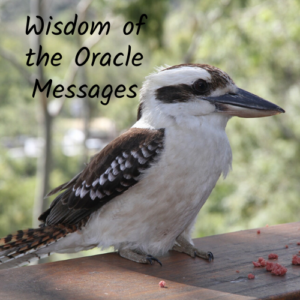 Wisdom of the Oracle Message