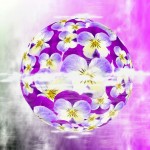 Colour Violet - allow your dreams to come true