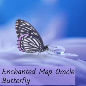 Enchanted Map Oracle Butterfly