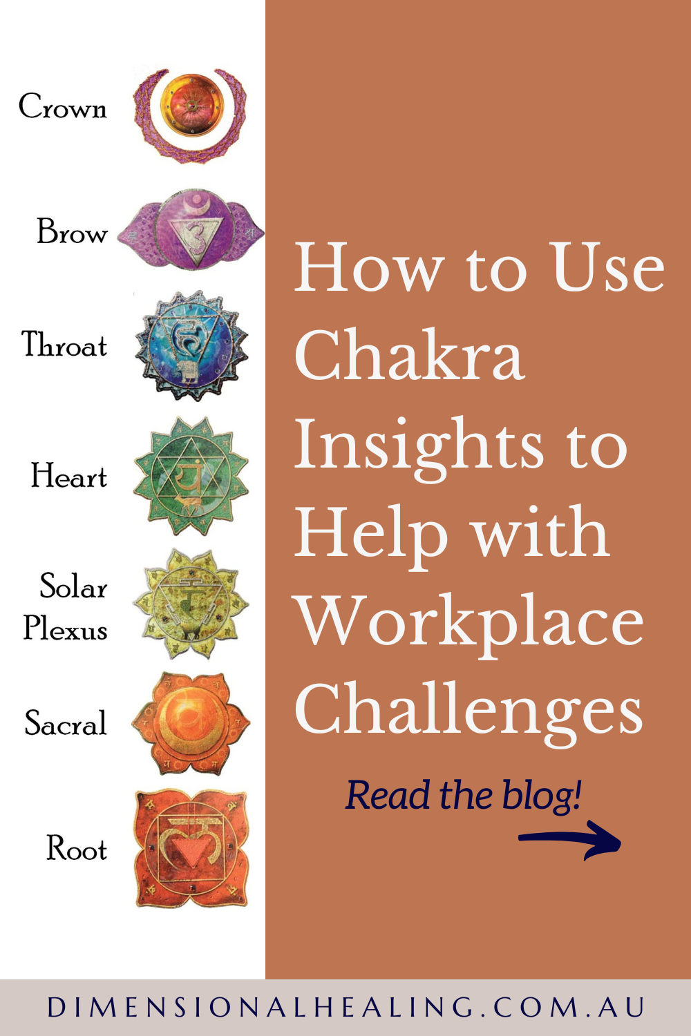 picture of the 7 chakras, their names and the text overlay how to use chakra insights to help with workplace challenges,
