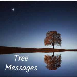 Tree messages from your inner self
